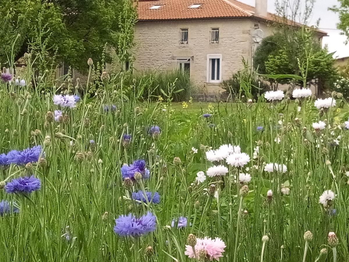 Chambres D'Hotes Chateau Pierre De Montignac Civrac-en-Médoc Exterior foto